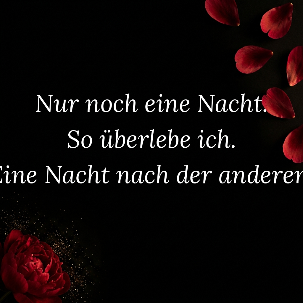 Nur noch eine Nacht
