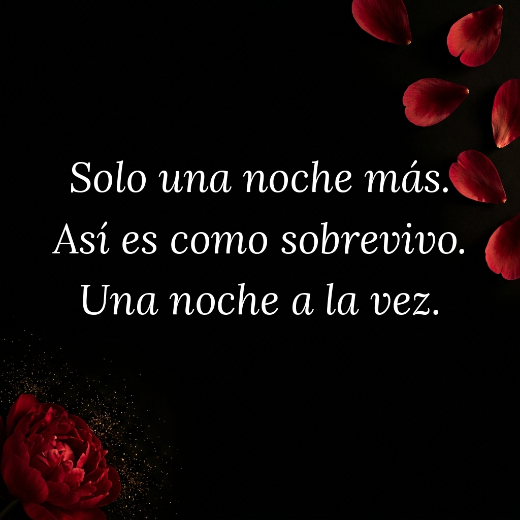 Solo una noche mas