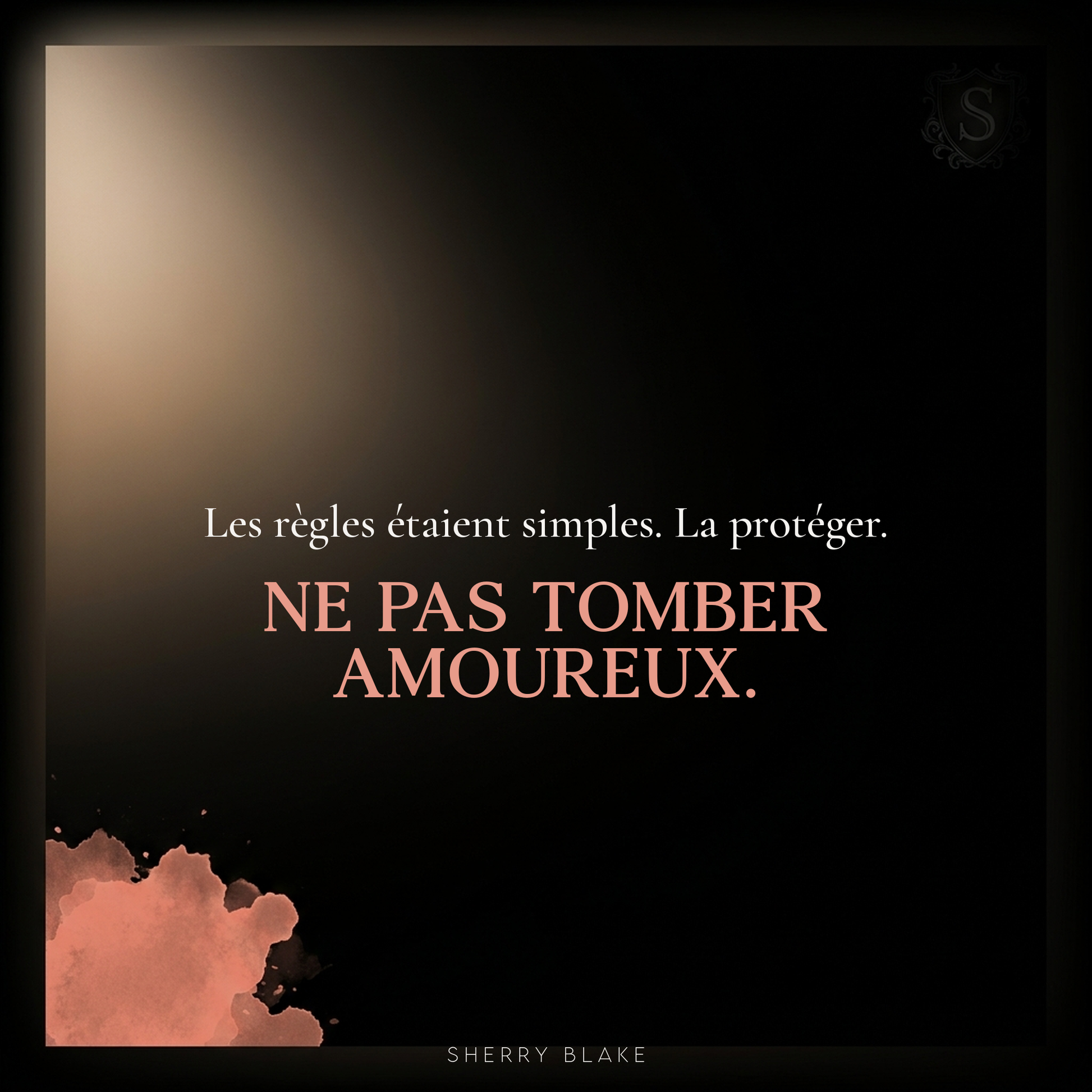 Nico – Sherry Blake: “La protéger. Ne pas tomber amoureux.” | Sartori Syndicate, romance mafia sombre